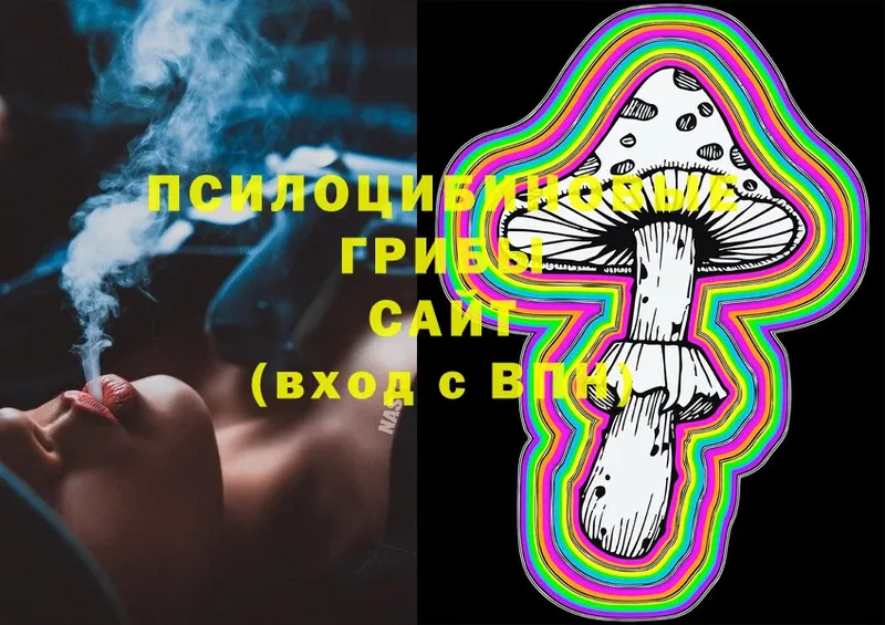 Псилоцибиновые грибы MAGIC MUSHROOMS  Заозёрный 